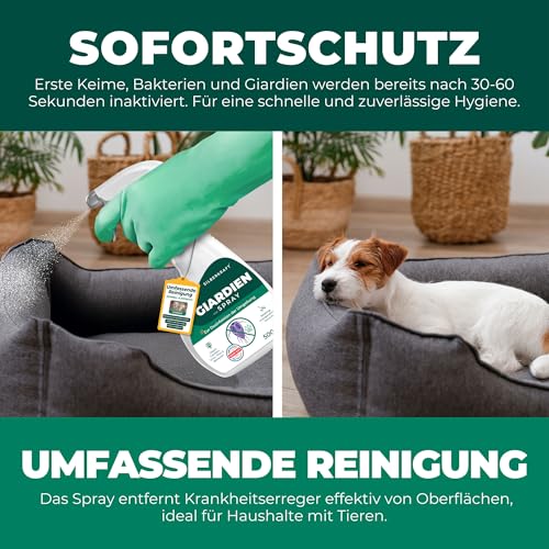 Silberkraft Giardienspray 500 ml, Hygiene-Spray gegen Giardien, Bakterien, Viren & Pilze, Desinfektionsspray für die Umgebung,inkl gratis E-Book, Entfernt Krankheitserreger & Gerüche