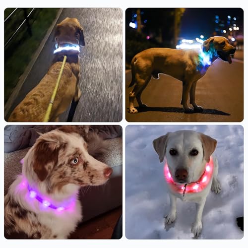 Nepfaivy Leuchthalsband Hund USB Aufladbar - Wasserdichtes Hundehalsband Leuchtend mit Verstellbarer Länge, LED Halsband für Hunde mit 3 Beleuchtungsmodi für Sicherheit, Blau