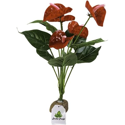 Josh's Frogs Tropische künstliche Reptilien- und Amphibienpflanzen Cover