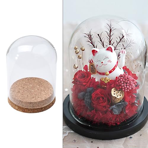 Gdfnmogo Cubierta de cúpula de cristal para plantas suculentas y flores, cristal transparente hecho a mano con base de corcho de madera natural, decoración de mesa para sala de estar, dormitorio