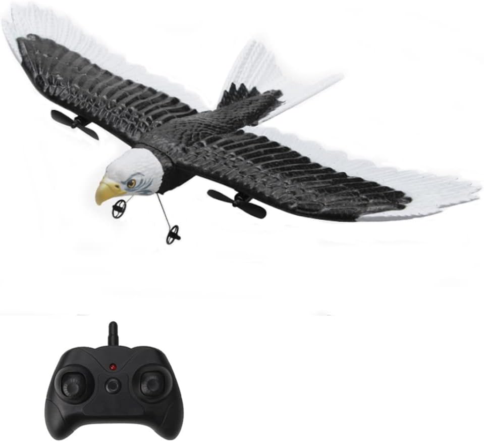Goolsky RC Plane, Remote Control Airplane, FX651 RC Eagle Airplane, 2.4GHz 2 Channel RC Glider Aircraft, Ready to Fly Flying Bird with 6-Axis Gyro, Easy to Fly for Beginners and Adults