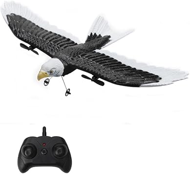 Goolsky RC Plane, Remote Control Airplane, FX651 RC Eagle Airplane, 2.4GHz 2 Channel RC Glider Aircraft, Ready to Fly Flying Bird with 6-Axis Gyro, Easy to Fly for Beginners and Adults