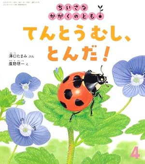 龍哉作　極上　てんとう虫　トップ　共箱　タサト　4g 東S8-0509☆2F てんとうむし、とんだ！【 月刊絵本 ちいさなかがくのとも 】』｜感想