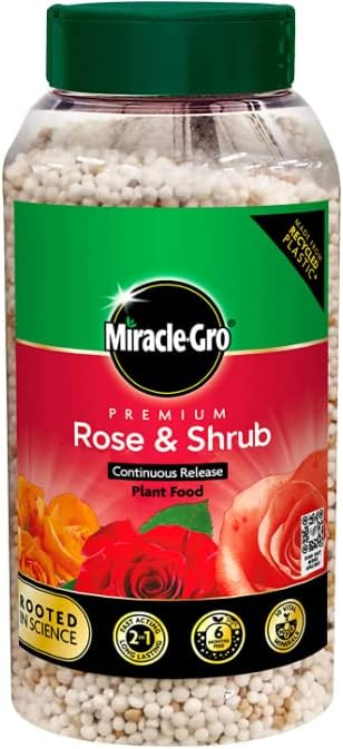 Miracle-Gro Premium Rose & Shrub Continuous Release Plant Food, 900g with a Thank You Sticker