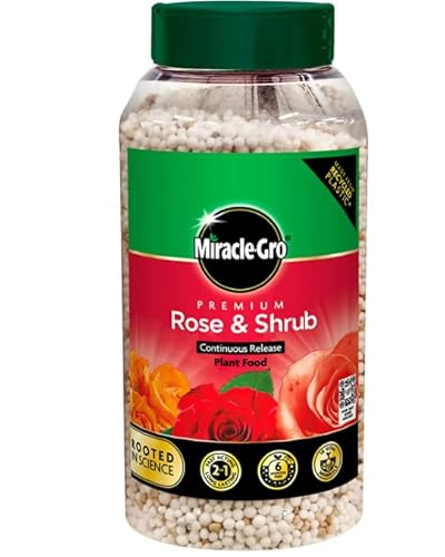 Miracle-Gro Premium Rose & Shrub Continuous Release Plant Food, 900g with a Thank You Sticker