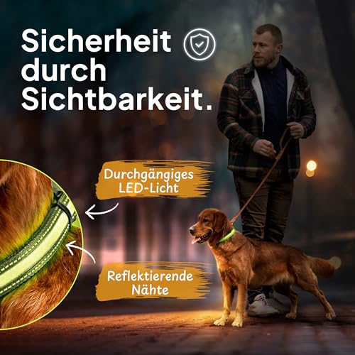 Tierhood Leuchthalsband Hund - Leuchthalsband für kleine und große Hunde - LED Hundehalsband Aufladbar - Langlebig, Wetterfest & Komfortabel - Ideal für Nachtspaziergänge - Grün, Größe S