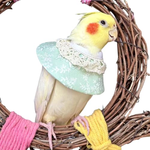 Copfeu Adjustable Bird Collar Anti Bite Elizabethan Recovery Cone, Bird Neck Protector for Feather Plucking, Skin-Friendly Bird Neckwear Full Body Shield (Medium,Green)