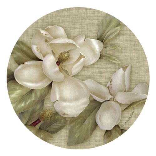 Thirstystone Stoneware Coaster Set, Magnolia