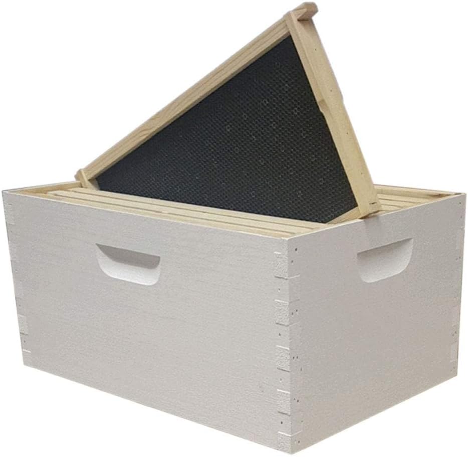 Busy Bees 'N' More Amish Made in USA Painted and Assembled Langstroth 8 Frame Deep/Brood Box w/Frames and Foundations