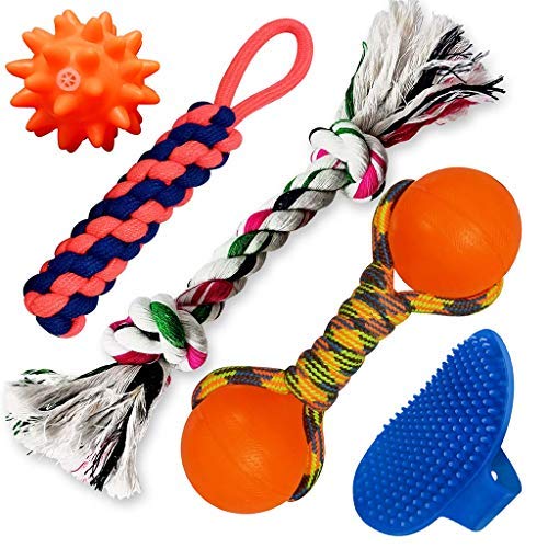 Pet Guard Dog Toys Combo of 5, Squeaky Toy, Dummy Chew Toy, Knotted Rope Tug Toy, Rope with Balls, Grooming Gloves (Color May Vary) (B08NK8YXDS) Amazon Price History, Amazon Price Tracker