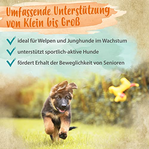 Ida Plus Gelenktabletten Plus - Gelenktabletten für Hunde - Mit Tierärzten entwickelt - Grünlippmuschel, MSM, Omega-3 & Teufelskralle unterstützen Hunde-Gelenke - Hohe Akzeptanz beim Hund - 120 Stück