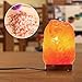YRLED Nature Crystal Himalayan Salt Block Lamp Night Light with Dimmer Switch and Wood Base (UL-Approved Power Cord, 7W Bulb)