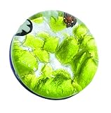 L'arrière de la broche est marqué « Verre de Murano Made in Italy »