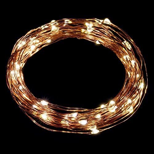 LIIDA LED String Lights, LED Moon Lights Micro Lights On Copper Wire for DIY Wedding Centerpiece, Table Decoration, Party (6, 9.8FT)
