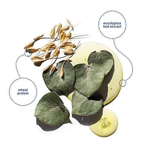 Pureology Hydrate Sheer Nourishing Conditioner | For Fine, Dry Color Treated Hair | Sulfate-Free | Vegan #TOP3