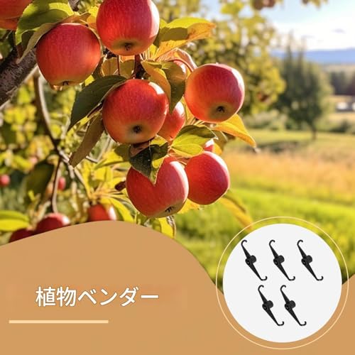 植物ベンダー | 植物枝曲げ 茎トレーナークリップ 低ストレストレーニング用 | 5個 角度調整可能 園芸用品 野菜・トマト・果樹・花用
