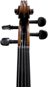 Paititi PTVNSH300-1/2 Violin