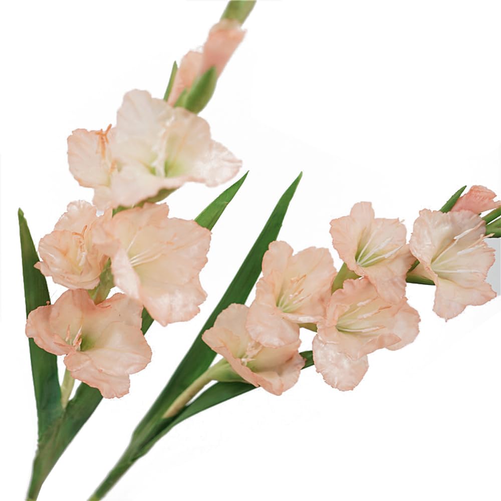 BQEE Long Stem Artificial Gladiolus 2 Pack Home Wedding Office Decoration (Pink)