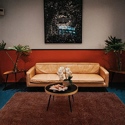 Yufanuho Brown Rugs For Living Room, Ultra Soft Indoor 5X7 Feet Brown Shaggy Area Rugs For Bedroom, Kids Room, Home Decor High Pile Velvety 5'X7' Shag Carpets, Brown #TOP6