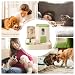 Auto Feeder Futterspender | Wasserspender für Haustiere | Katzenfutter und Wasserspender Set | Automatischer Futterspender und Tränke | Katze Auto Food Dispenser Bowl | Futterspender für