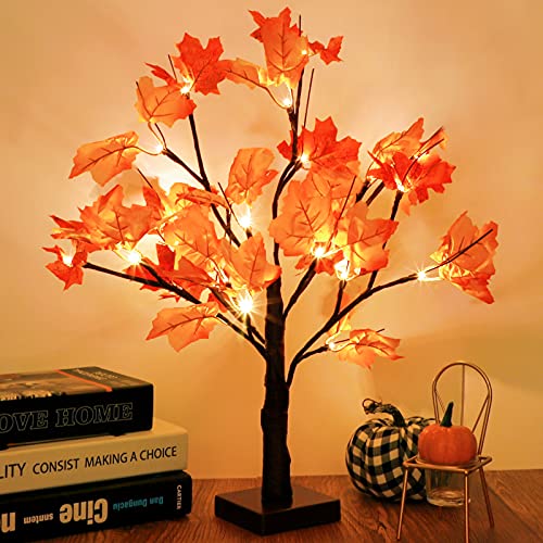 Whonline Fall Tree Thanksgiving Lighted Artificial Maple Tree 20in 24 LED Table Centerpiece Lights Battery Powered for Christmas Autumn Wedding Party Indoor Outdoor Harvest Home Decoration Whonline Fall Tree Thanksgiving Lighted Artificial Maple Tree 20in 24 LED Table Centerpiece Lights Battery Powered for Christmas Autumn Wedding Party Indoor Outdoor Harvest Home Decoration