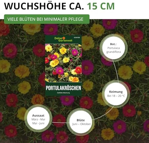 Purslane Filled Mix Seeds - Portulaca Grandiflora - Flower Seeds - Seeds for 150 Plants - View 5