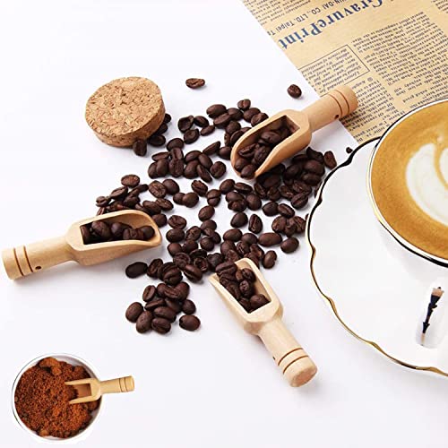 15 Pezzi Mini Cucchiaio in Legno,Cucchiaio da Tè