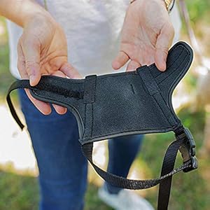 Ferplast-Muzzle-for-dogs-SAFE-MEDIUM-Anti-bite-Sturdy-nylon-Open-at-The-front-Soft-padding-Adjustable-with-Velcro-A-4680-cm-B-2025-cm-B-12-cm - Cucciolini Doodles Ferplast-Muzzle-for-dogs-SAFE-MEDIUM-Anti-bite-Sturdy-nylon-Open-at-The-front-Soft-padding-Adjustable-with-Velcro-A-4680-cm-B-2025-cm-B-12-cm