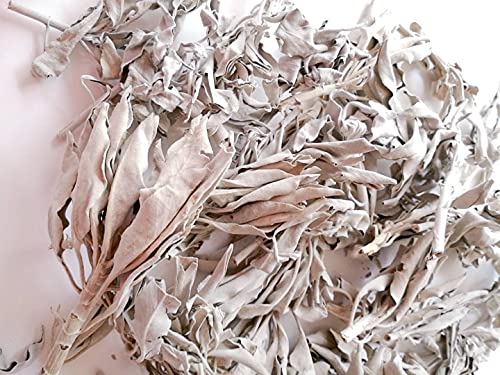 zCgZ[W 򉻗p  _ }t NX^[^Cv I[KjbN 30g