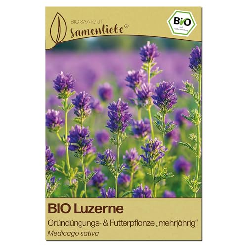 Samenliebe BIO Luzerne Samen | Futterpflanze & Gründünger - winterhart & mehrjährig - samenfestes BIO Saatgut