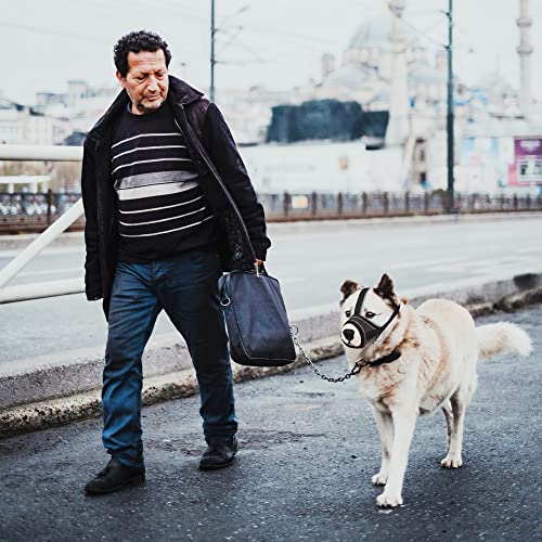 Yaodhaod Dog Muzzle, Super Soft Nylon Muzzles Prevent From Biting Barking And Chewing With Reflective Strips, Adjustable Breathable Pets Muzzle For Small Medium Large Dogs (S, Black (Reflective)) #TOP6