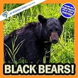 Black Bears!: A My Incredible World Picture Book for Children (My Incredible World: Nature and Animal Picture Books for Children)