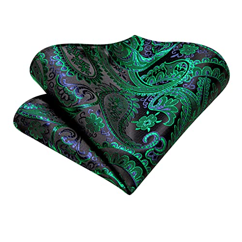 Image of Hi-Tie Ascot Lapel Pin Set Mens Cravat Ties for men Wedding Scarf Tie Party Business Formal Tuxedo,Black Green Paisley