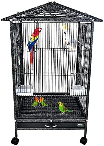 Photo inspiration: Fresh Look at Buraq Metal 30 Inch Sturdy Large Bird Cage For Parakeets