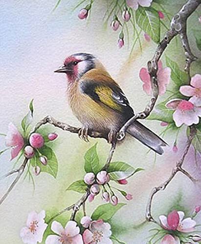 Kit broderie point de croix oiseau imprimé 11CT idée cadeau festival Noël
