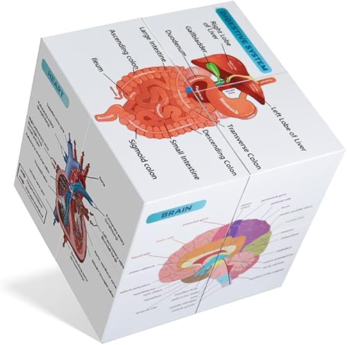 kaitnax Juego de pósteres anatómicos humanos, cubo de estudio de anatomía, herramienta de aprendizaje para estudiantes de medicina, juego de tablas