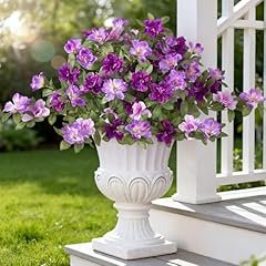 Deep-purple Light-purple Lotus