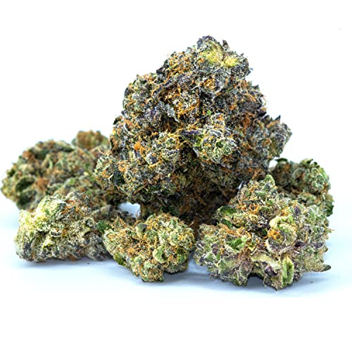 Fendi BackPack [Explicit]