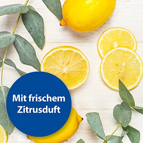 Bactazol Universalreiniger 500ml - Mit frischem Zitrusduft für Hunde, Katzen, Kleintiere & Vögel