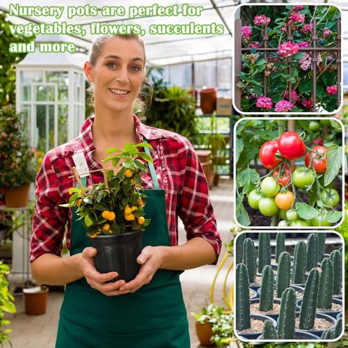BreezeHug 1200 Pcs 0.5 Gallon Plastic Plants Nursery Pots Bulk with Gardening Black Thickened Soft Seedling Pots with Drainage Holes Flower Plant Containers with Small Shovel for Succulents Supply by BreezeHug - Image 6