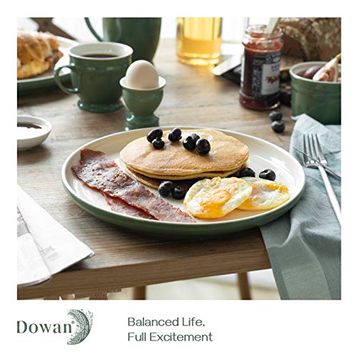 Dowan Dinner Plates, Porcelain Serving Platter 10 Inches Dessert Salad Plates Set Of 6, Ceramic Stackable Dish Set Microwave Safe Serving For Dessert, Salad, Appetizer, Pasta, Bread, Steak, Green-Tea #TOP4