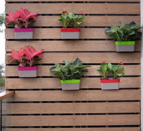 HARSHDEEP-Arty-Hanging Pots for Home Decorative Indoor Outdoor Plants Rectangular Plastic 11 Inch Set of 5 (White-Mocca)