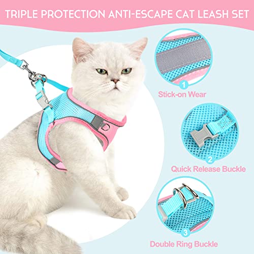 Pettorina e guinzaglio per camminare, guinzaglio