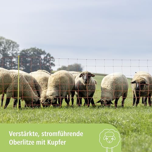 Kerbl Hobbyfarming Schafnetz ClassicNet, mobiler Weidezaun, Weidenetz, Doppelspitze, orange, 50m x 108cm, 13 Pfähle, 3 Jahre Garantie auf UV-Stabilität