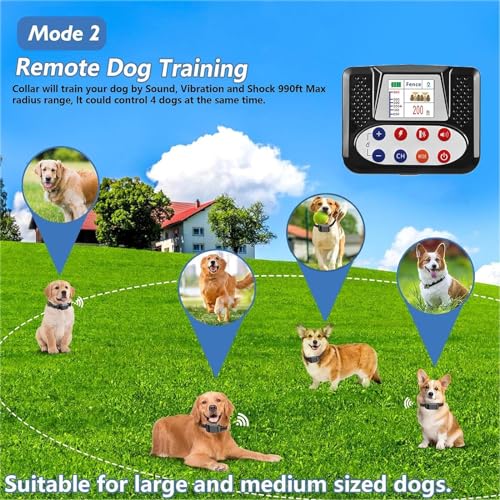 Dog Collar Features Close-up