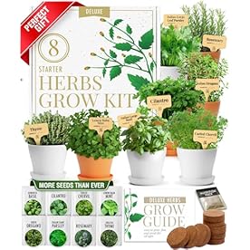 HOME GROWN 𝗣𝗥𝗘𝗠𝗜𝗨𝗠 𝗛𝗘𝗥𝗕 𝗞𝗜𝗧 8 Herb Seeds Garden Kit, Complete Indoor Planter Gift with Basil Cilantro Mint & More, Unique Kitchen Growing Set for Women Men, Birthday Housewarming Present