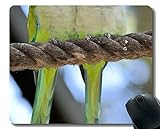 ❤Standardgröße: Unsere Mausunterlage passt in fast jeden Raum; Die Dicke von 3 mm verringert die Auswirkungen unebener Oberflächen und bietet eine einzigartige Mischung aus Geschwindigkeit und Steuerung Ihrer Maus, sodass sie für jede Situation ideal ist.