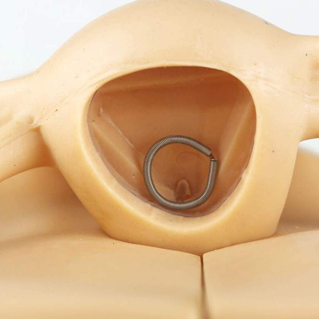 Femminile Contraccezione Guidance Modello,Genitale Modello Anatomico Umano - Ginecologia Dimostrativo Contraccezione