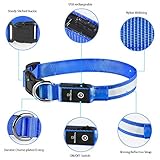 Leuchthalsband Hund, Hundehalsband Leuchtend Aufladbar, LED Halsband für Hunde Leuchtband Einstellbar Wasserdicht mit 3 Lichtmodi Sicherheit für Kleine Mittlere Große Hunde, Blau S