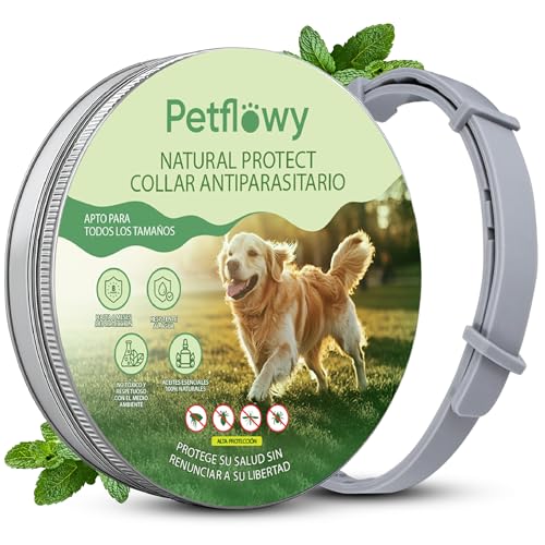 Petflowy - Collar Antiparasitario Natural para Perros. Protege 8 Meses contra Pulgas y Garrapatas Sin Químicos Tóxicos, Apto para Perros Grandes, Medianos y Pequeños Impermeable